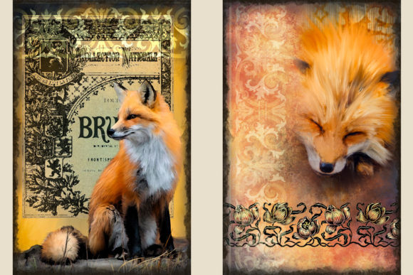 Fox Junk Journal Kit and Ephemera: A Vintage Nature Collection for Creative Storytelling